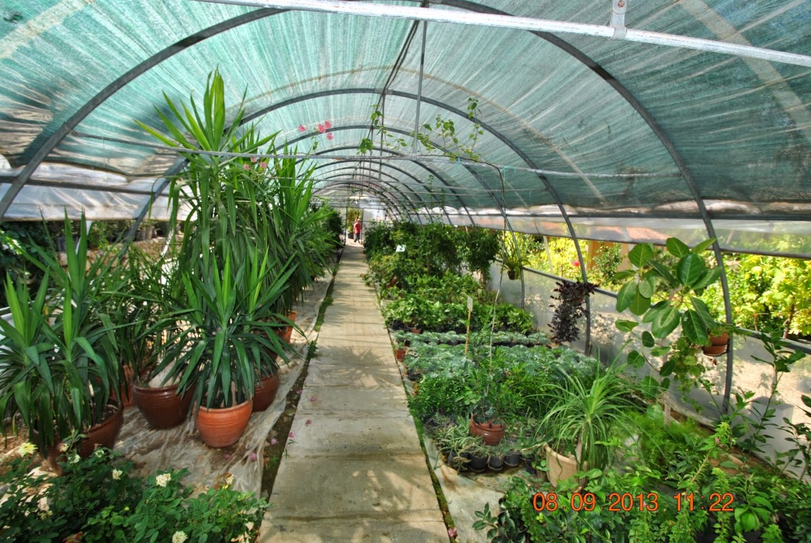 imagini hotel LYKIA WORLD OLUDENIZ